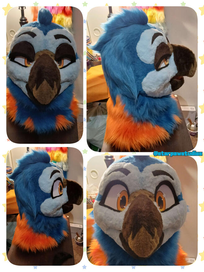 Bird Fursuit Head 2025