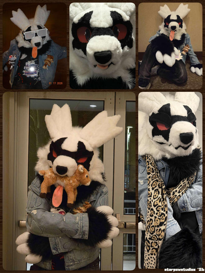 Galarian Zigzagoon Partial 2026