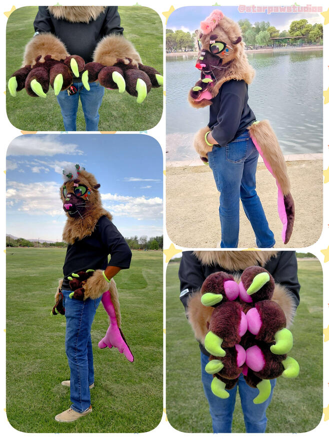 Candy Sea Lion Partial 2025